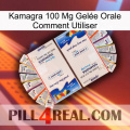 Kamagra 100 Mg Gelée Orale Comment Utiliser kamagra1